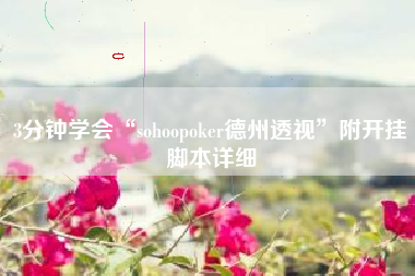 3分钟学会“sohoopoker德州透视”附开挂脚本详细