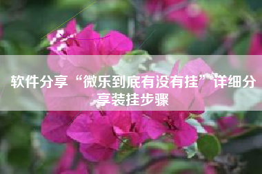 软件分享“微乐到底有没有挂	”详细分享装挂步骤