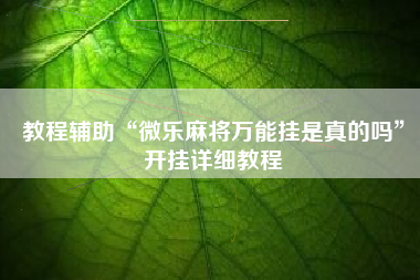 教程辅助“微乐麻将万能挂是真的吗”开挂详细教程