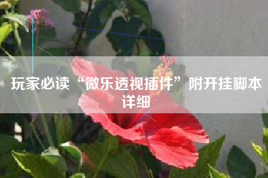 玩家必读“微乐透视插件	”附开挂脚本详细
