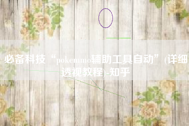 必备科技“pokemmo辅助工具自动	”(详细透视教程)-知乎