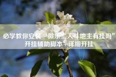 必学教你安装“微乐二人斗地主有挂吗”开挂辅助脚本+详细开挂
