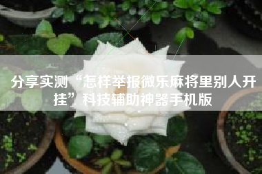 分享实测“怎样举报微乐麻将里别人开挂”科技辅助神器手机版