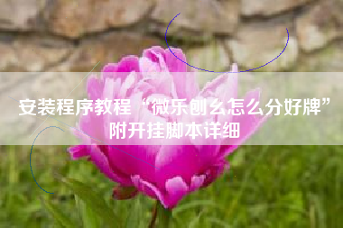 安装程序教程“微乐刨幺怎么分好牌	”附开挂脚本详细