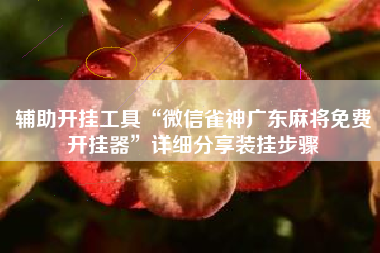 辅助开挂工具“微信雀神广东麻将免费开挂器	”详细分享装挂步骤