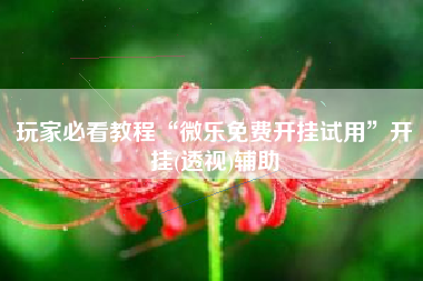 玩家必看教程“微乐免费开挂试用”开挂(透视)辅助