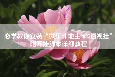 必学教你安装“微乐斗地主2025透视挂	”附开挂脚本详细教程