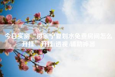 今日实测“微乐宁夏划水免费房间怎么开挂”开挂(透视)辅助神器