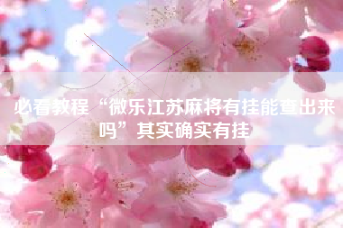 必看教程“微乐江苏麻将有挂能查出来吗	”其实确实有挂