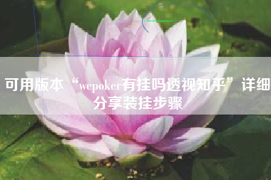 可用版本“wepoker有挂吗透视知乎”详细分享装挂步骤