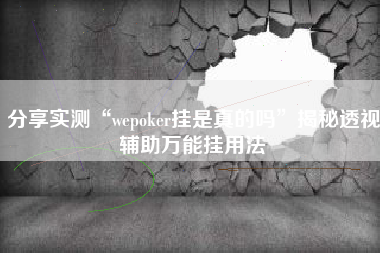 分享实测“wepoker挂是真的吗”揭秘透视辅助万能挂用法