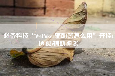 必备科技“WePoker辅助器怎么用	”开挂(透视)辅助神器