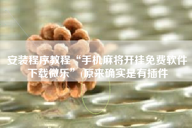 安装程序教程“手机麻将开挂免费软件下载微乐”(原来确实是有插件