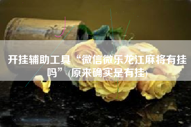 开挂辅助工具“微信微乐龙江麻将有挂吗”(原来确实是有挂)