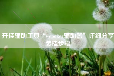 开挂辅助工具“wepoker辅助器”详细分享装挂步骤
