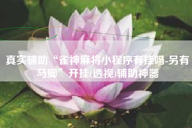 真实辅助“雀神麻将小程序有挂吗-另有马脚	”开挂(透视)辅助神器