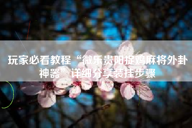 玩家必看教程“微乐贵阳捉鸡麻将外卦神器	”详细分享装挂步骤