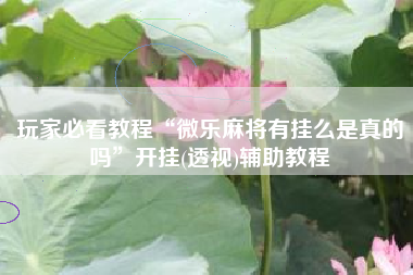 玩家必看教程“微乐麻将有挂么是真的吗	”开挂(透视)辅助教程