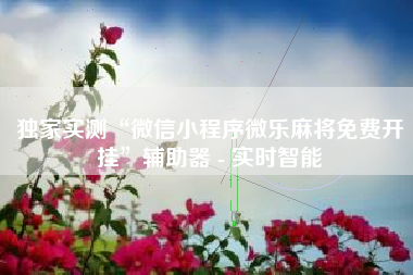 独家实测“微信小程序微乐麻将免费开挂”辅助器 - 实时智能