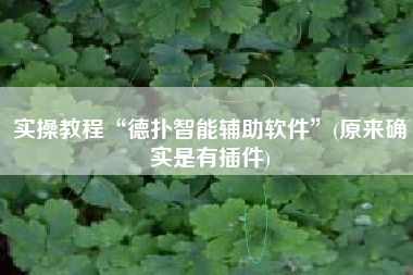 实操教程“德扑智能辅助软件”(原来确实是有插件)