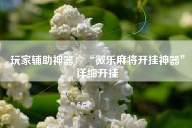 玩家辅助神器：“微乐麻将开挂神器”详细开挂