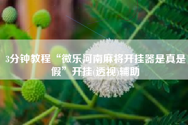 3分钟教程“微乐河南麻将开挂器是真是假	”开挂(透视)辅助