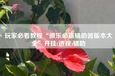 玩家必看教程“微乐必赢辅助器版本大全	”开挂(透视)辅助