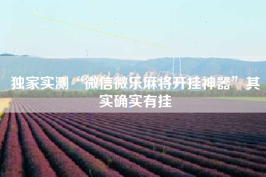 独家实测“微信微乐麻将开挂神器	”其实确实有挂