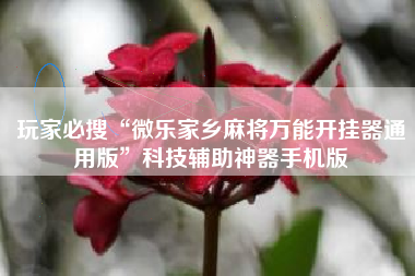 玩家必搜“微乐家乡麻将万能开挂器通用版	”科技辅助神器手机版