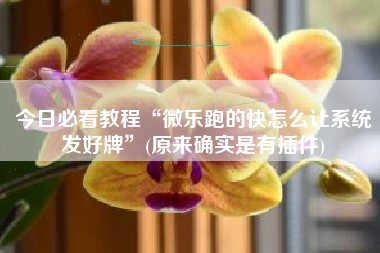 今日必看教程“微乐跑的快怎么让系统发好牌	”(原来确实是有插件)