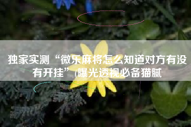 独家实测“微乐麻将怎么知道对方有没有开挂	”(曝光透视必备猫腻