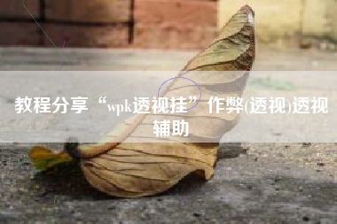 教程分享“wpk透视挂	”作弊(透视)透视辅助
