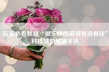 玩家必看教程“微乐陕西麻将有没有挂”科技辅助神器手机