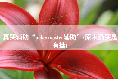真实辅助“pokermaster辅助”(原来确实是有挂)