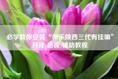 必学教你安装“微乐陕西三代有挂嘛”开挂(透视)辅助教程