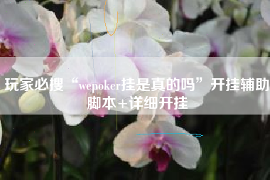 玩家必搜“wepoker挂是真的吗	”开挂辅助脚本+详细开挂