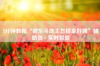 3分钟教程“微乐斗地主怎样拿好牌	”辅助器 - 实时智能