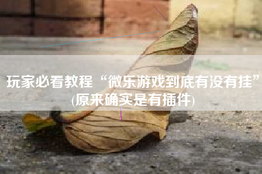 玩家必看教程“微乐游戏到底有没有挂”(原来确实是有插件)