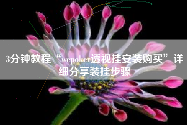 3分钟教程“wepoker透视挂安装购买	”详细分享装挂步骤