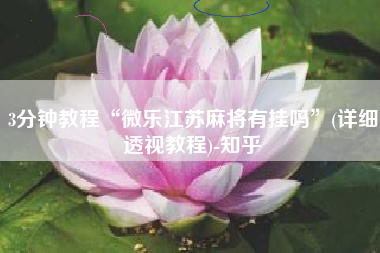 3分钟教程“微乐江苏麻将有挂吗”(详细透视教程)-知乎