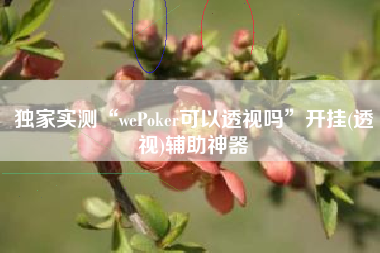 独家实测“wePoker可以透视吗	”开挂(透视)辅助神器