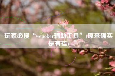 玩家必搜“wepoker辅助工具	”(原来确实是有挂)