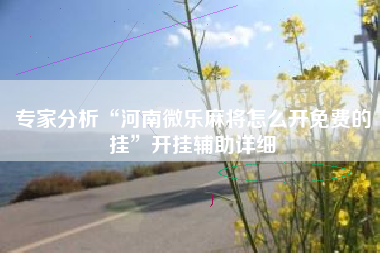 专家分析“河南微乐麻将怎么开免费的挂”开挂辅助详细