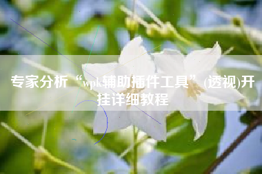 专家分析“wpk辅助插件工具	”(透视)开挂详细教程
