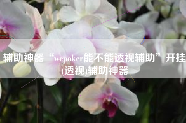 辅助神器“wepoker能不能透视辅助”开挂(透视)辅助神器
