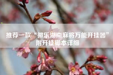 推荐一款“微乐湖南麻将万能开挂器”附开挂脚本详细