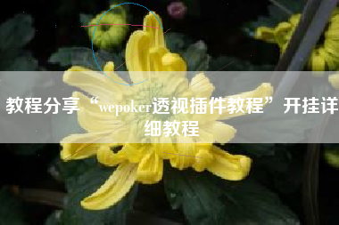 教程分享“wepoker透视插件教程”开挂详细教程