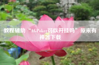 教程辅助“AGPoker可以开挂吗”原来有神器下载