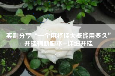 实测分享“一个麻将挂大概能用多久”开挂辅助脚本+详细开挂