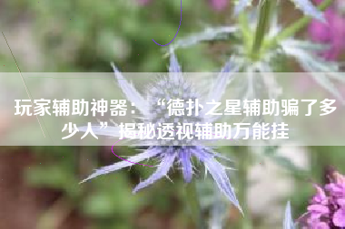 玩家辅助神器：“德扑之星辅助骗了多少人”揭秘透视辅助万能挂